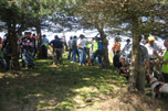 participantes bajo sombra